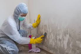 Best Forensic Mold Investigation  in Oquawka, IL